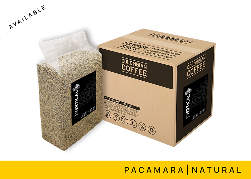 COFFEE PACAMARA NATURAL