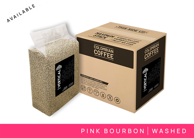 COFFEE PINK BOURBON WASHED 